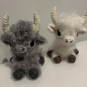Baby Highland Cows