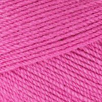Carnation (3286)