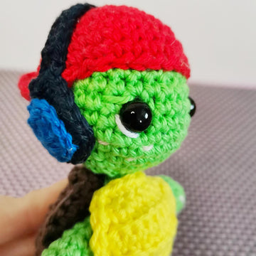 Skater Turtle