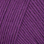 Plum (21)