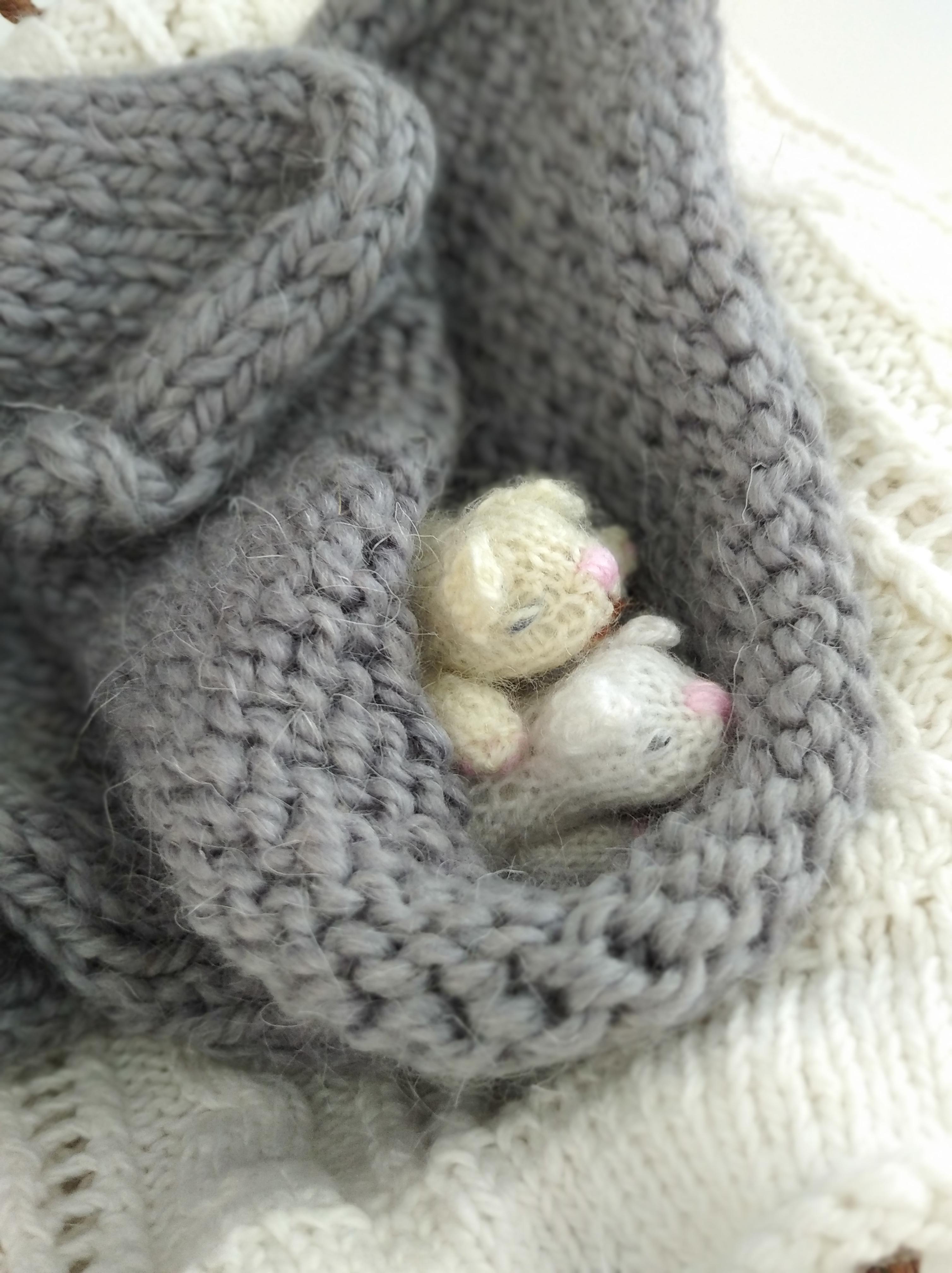 Cat and little kittens -KITTEN knitting pattern