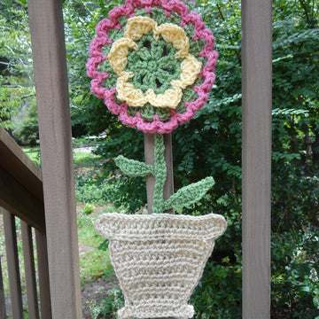 Flower in a Pot