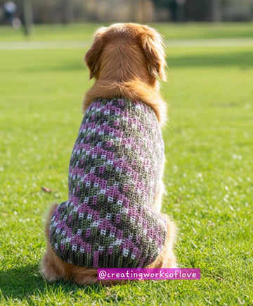 Max's Dog Sweater