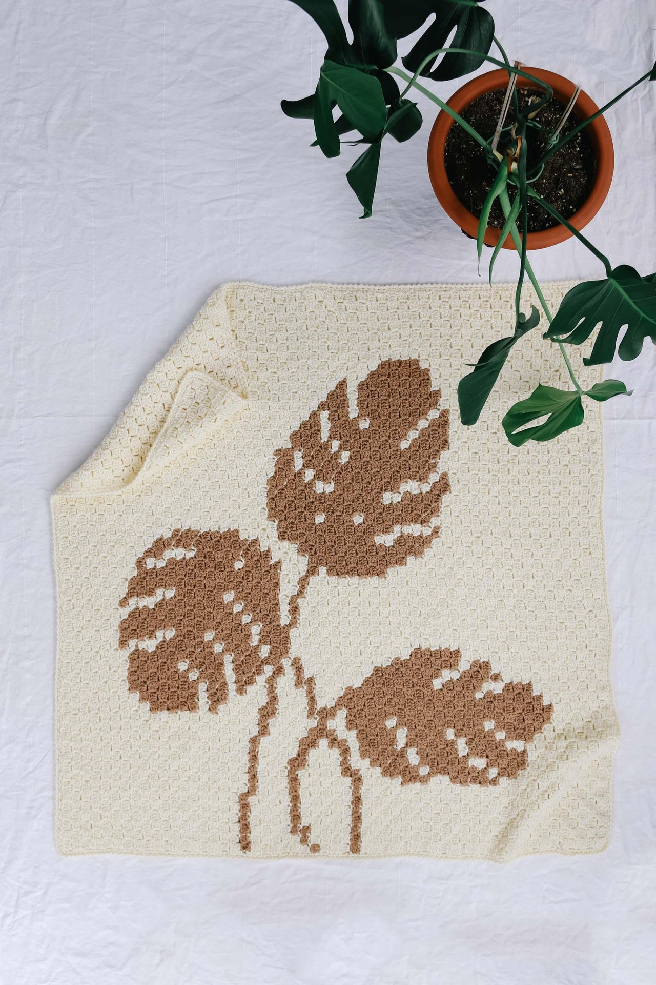 Monstera C2C Blanket