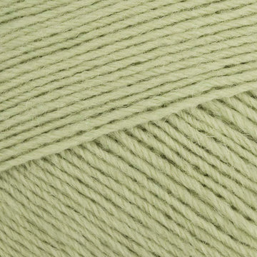 Hydrangea (335)