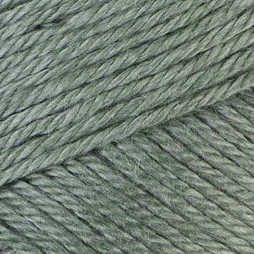 Caron Simply Soft Heathers