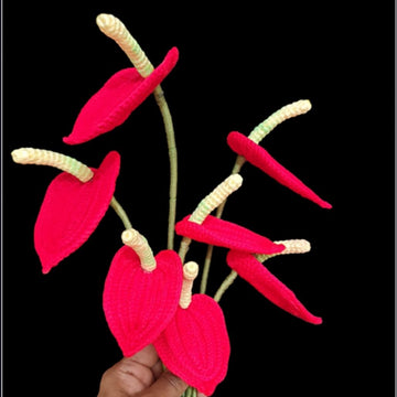Anthurium flower