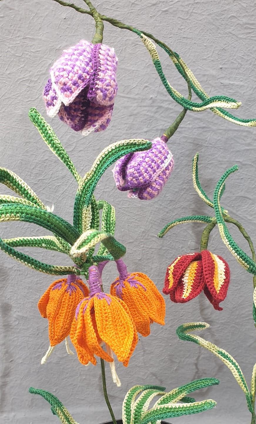 Fritillaria Bell Flowers