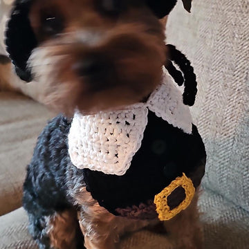 Pilgrim Pet Bandana and Hat