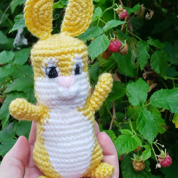 Crochet Bunny Happy Hops from My story book Who wants Happy Hops's Toothbrush?