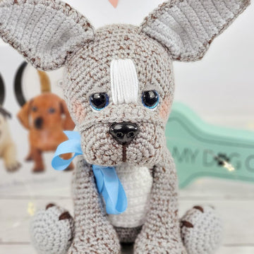 Cookie the French Bulldog