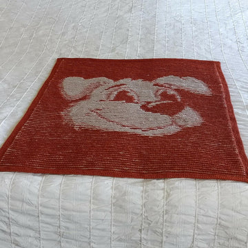 Canis Minor Illusion Baby Blanket