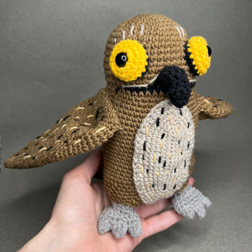 Potoo Bird