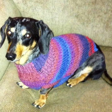 Lena's Miniature Dachshund Dog Sweater