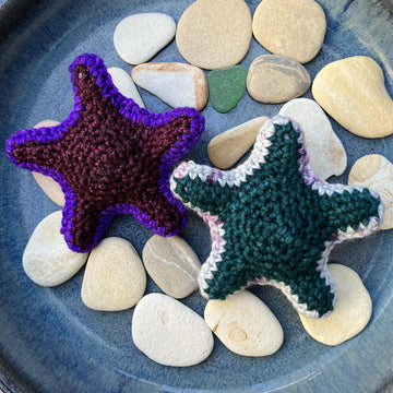 Cecily the Starfish
