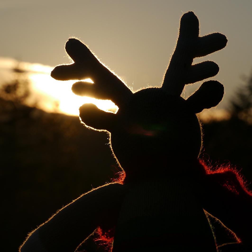 PAULE Rentier / Reindeer