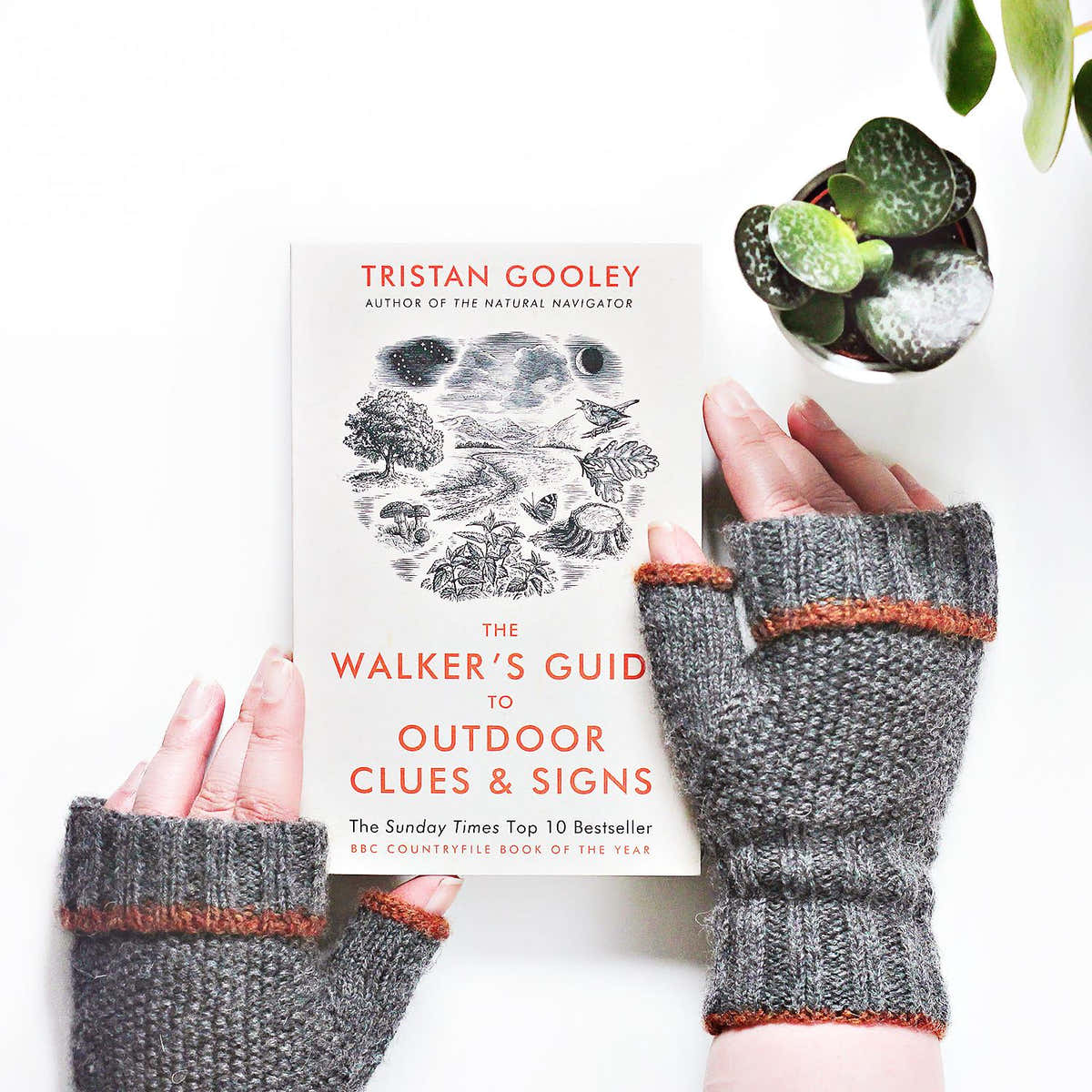 Graine Fingerless Mitts