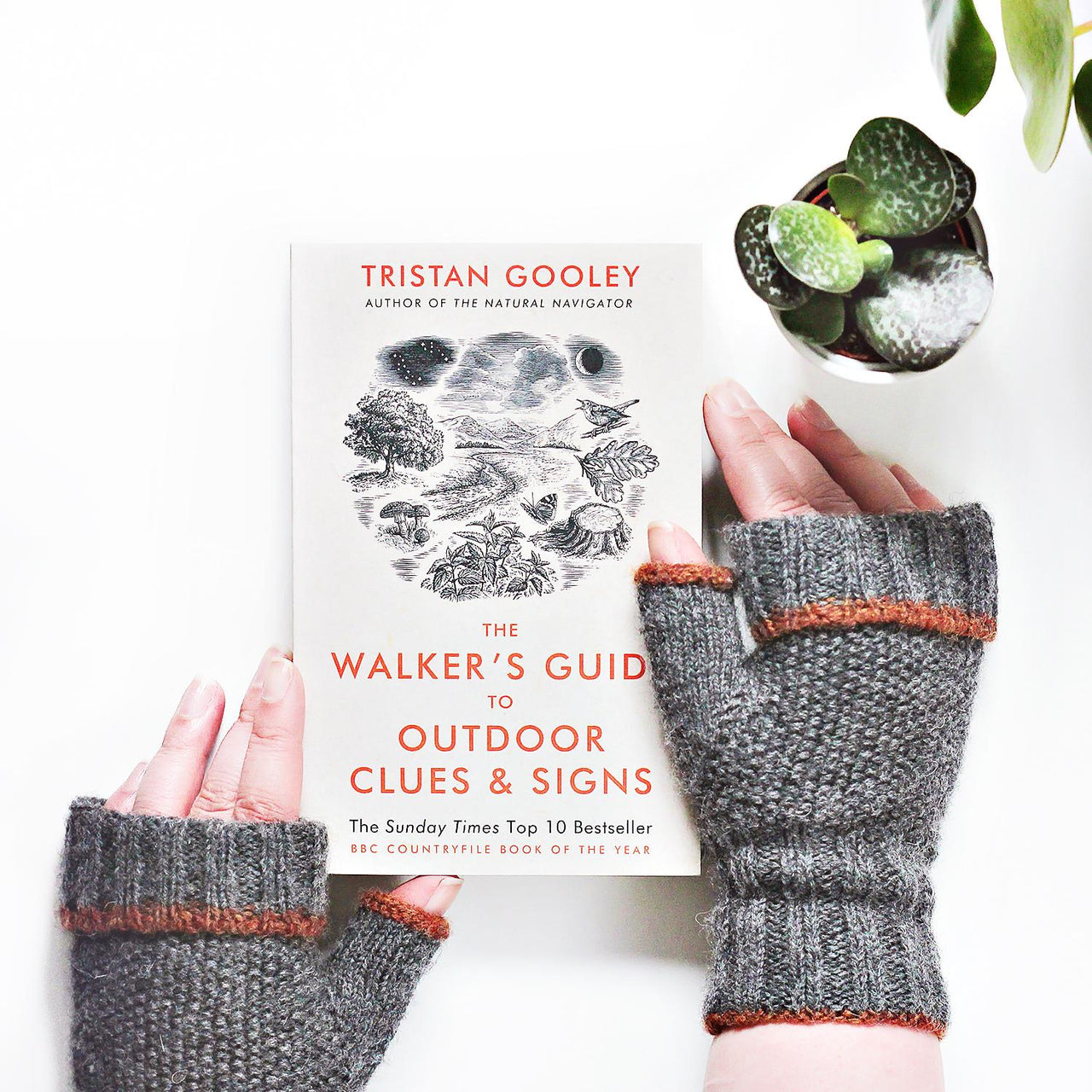 Graine Fingerless Mitts
