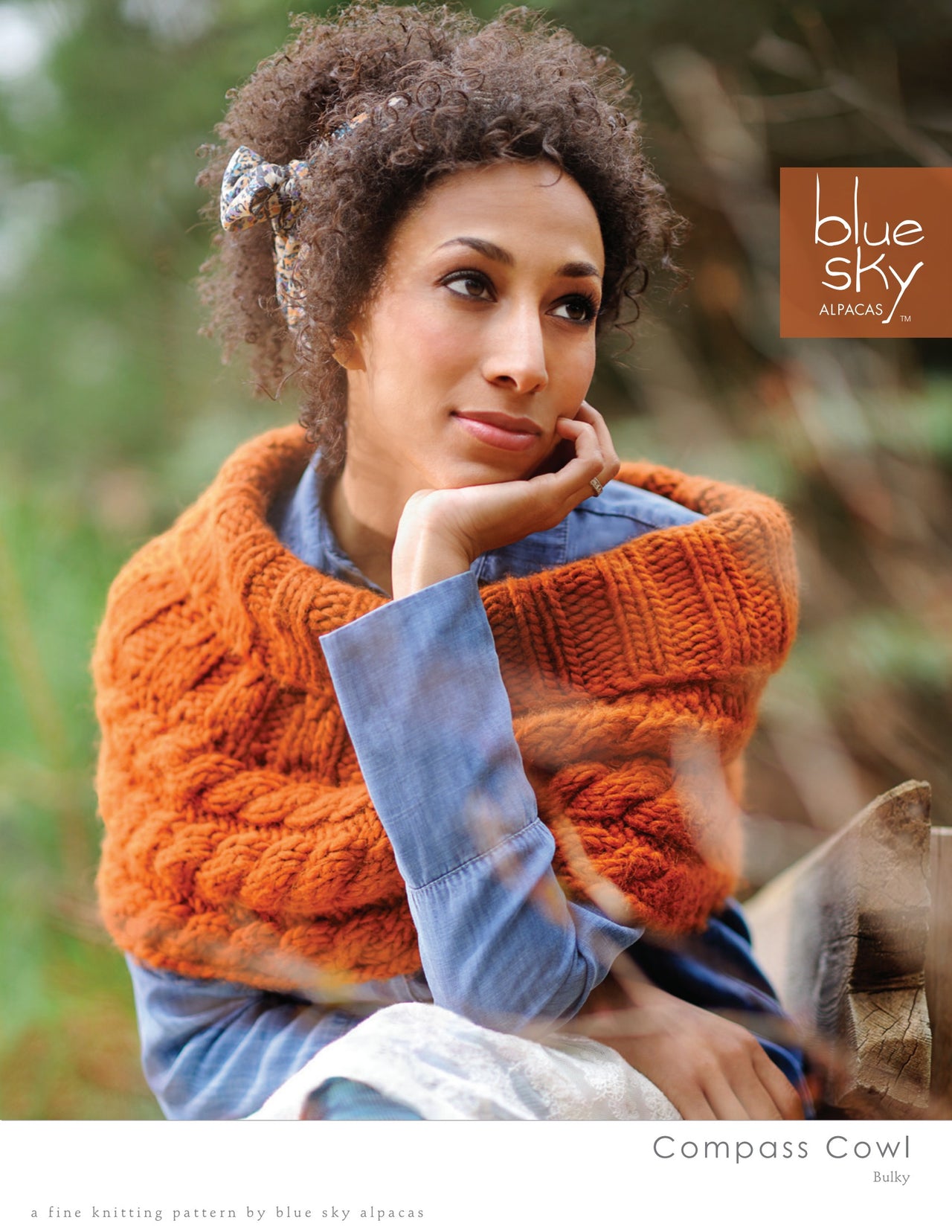 Blue Sky Fibers Compass Cowl