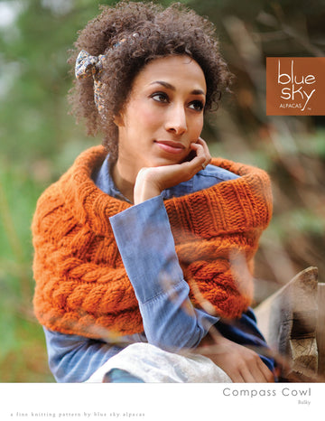 Blue Sky Fibers Compass Cowl