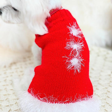 Santa dog coat