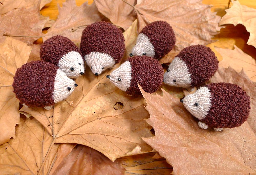 Hedgehog Family