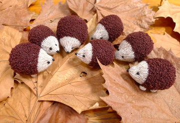 Hedgehog Family