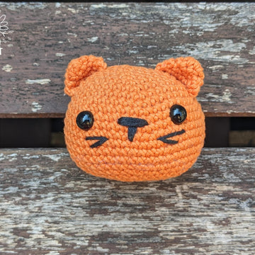 Semola, the Orange Cat