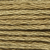 Golden Olive (VAS12195)