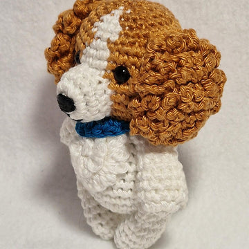 Cavalier Spaniel Dog