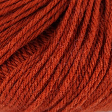Burnt Sienna (70)