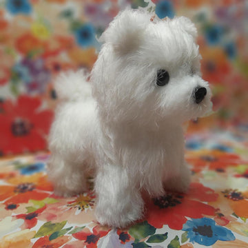 Realistic Dog Spitz