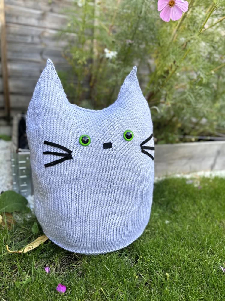 Chonky Cat