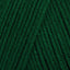 Kelly Green (10510)