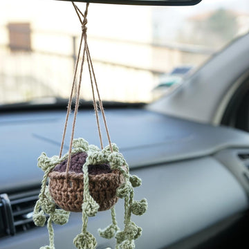 Hanging Plant with Flowers