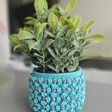 Beads and Popcorn Cozy