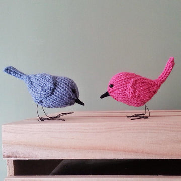 Little bird