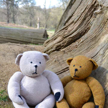 Teddy Bear