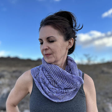 Chartres Cowl