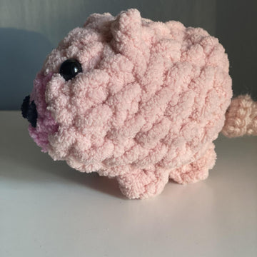 Pocket Pig