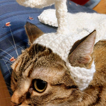 Wings for your Cat
