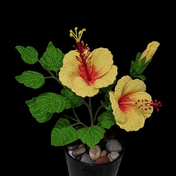 Crochet Hibiscus flowers