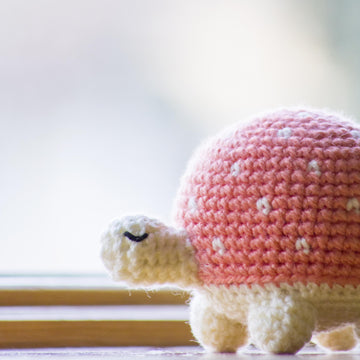 Sweetheart Turtles