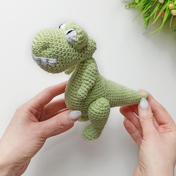 Dinosaur Baby T_Rex