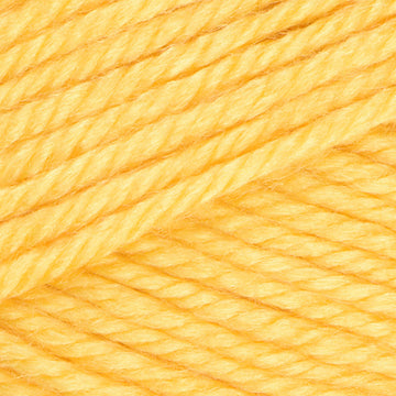 Premier Yarns Eversoft