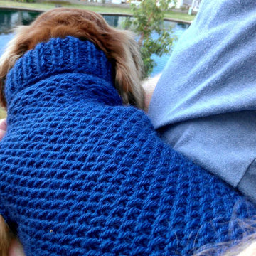 Ripple Stitch Miniature Dachshund Sweater