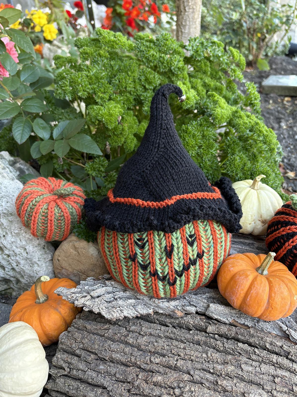 Brioche Pumpkin Patch Witch