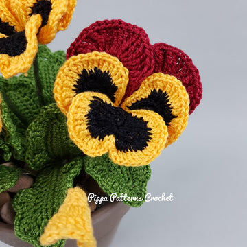 Pansy & Viola