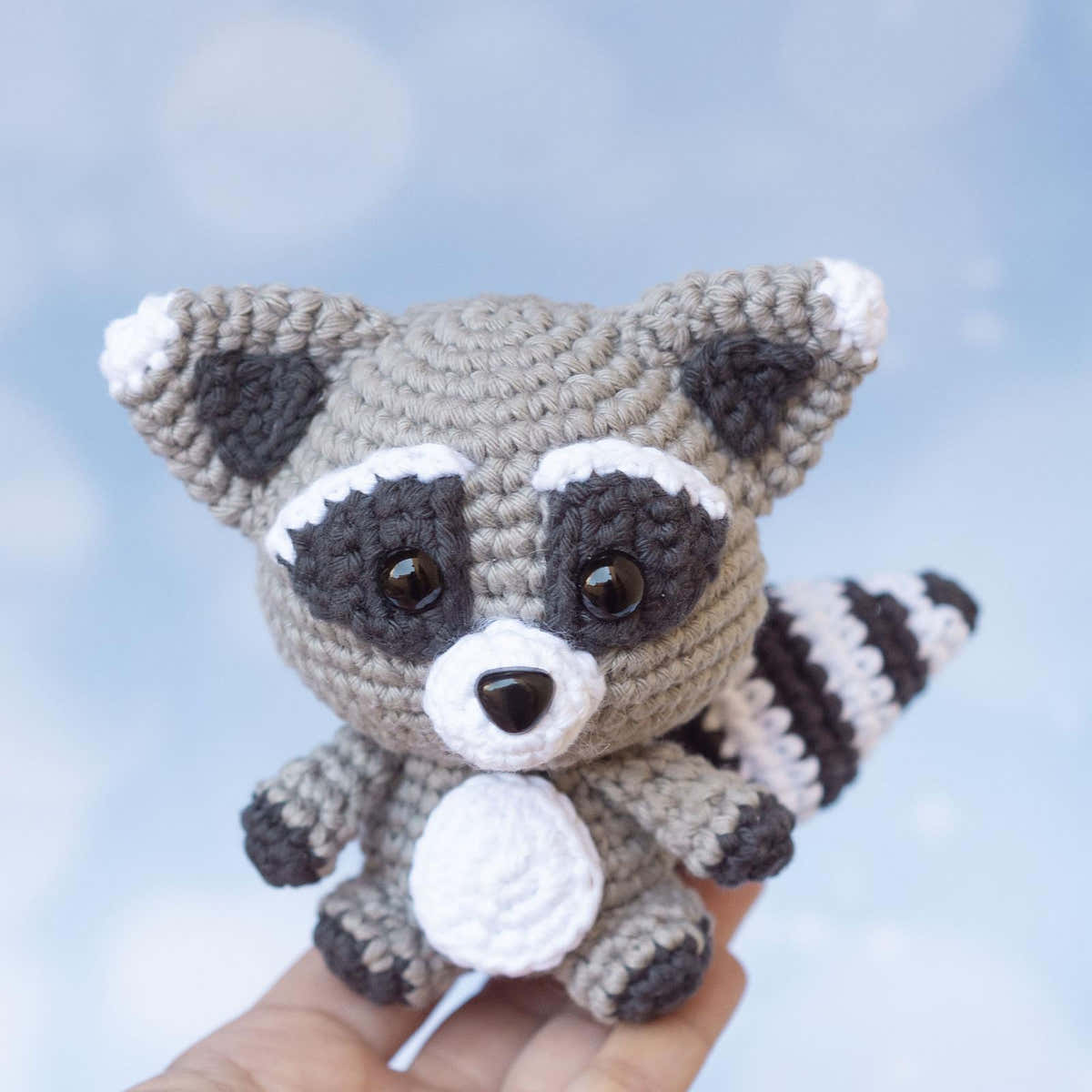Baby Racoon