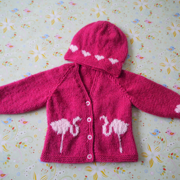 Baby Flamingo and Hearts Outfit